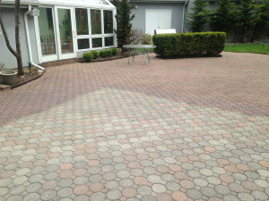 Restoring Faded Pavers - 2015-04-30 11.32.24-1000