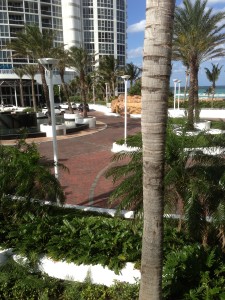 Trump Pavers
