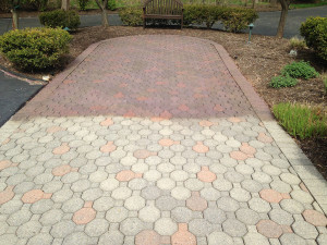 Restoring Fadded Pavers - 2015-04-30 10.34.02-1024