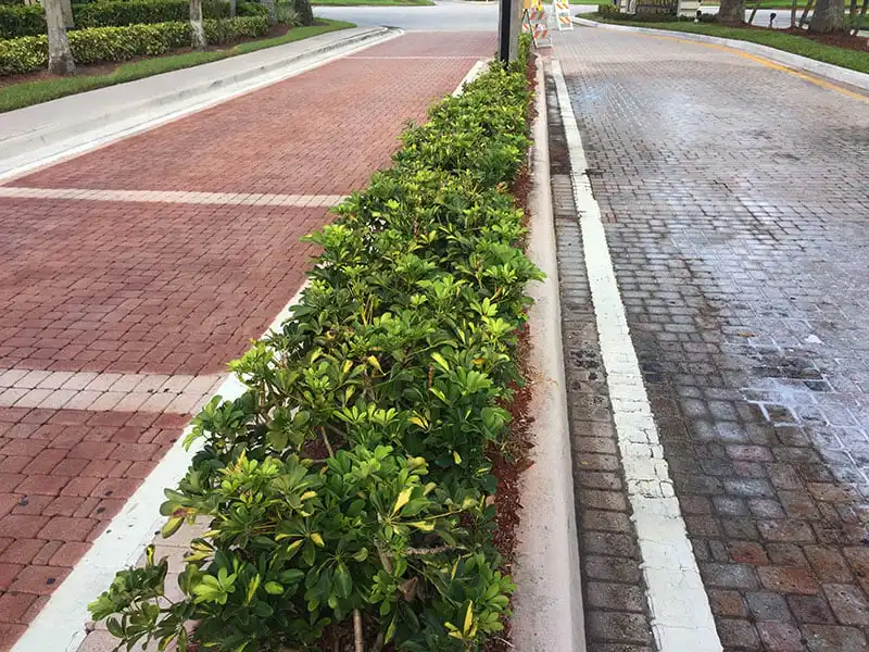 Currently, many of properties across the country are now faced with the dilemma of how to restore the pavers without having to replace them.