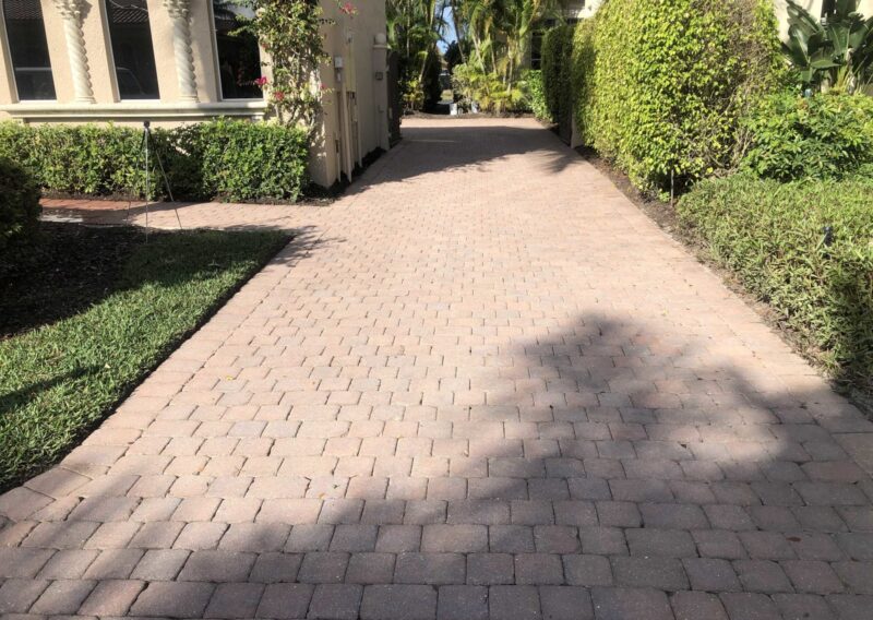 Naples, FL (Red Dye) (Before)